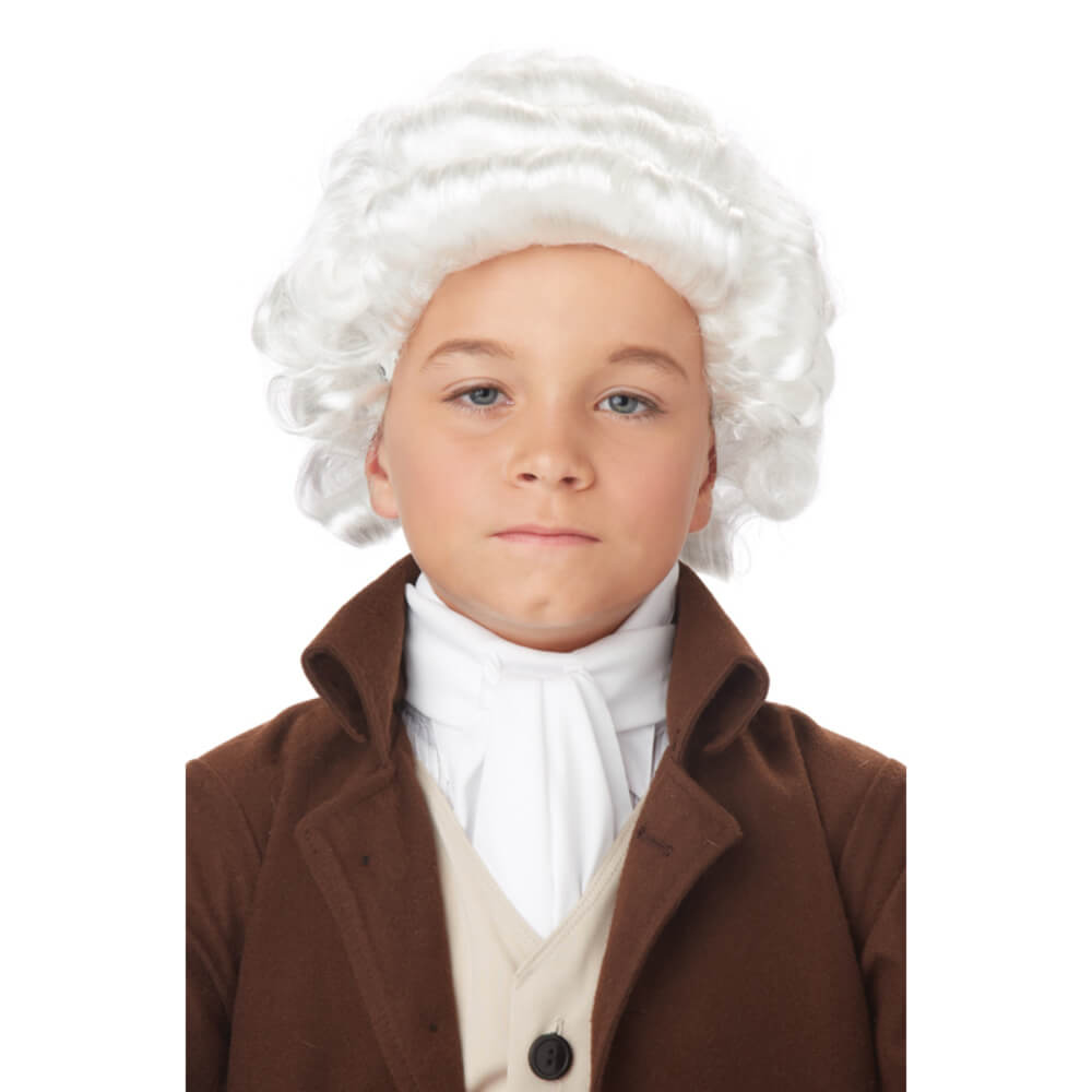 Colonial Man Wig