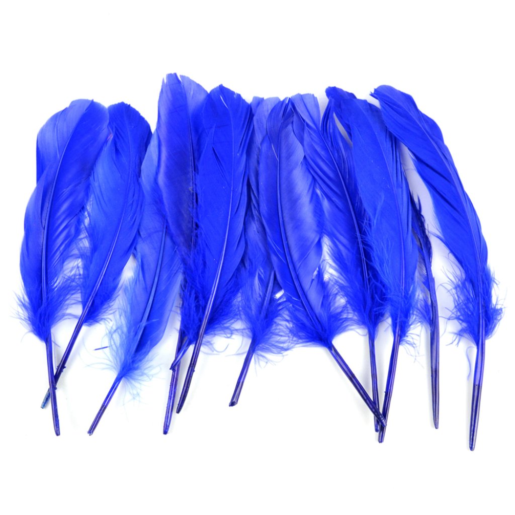 Goose Wing Rounds 7-8in Royal Blue 12Pcs 