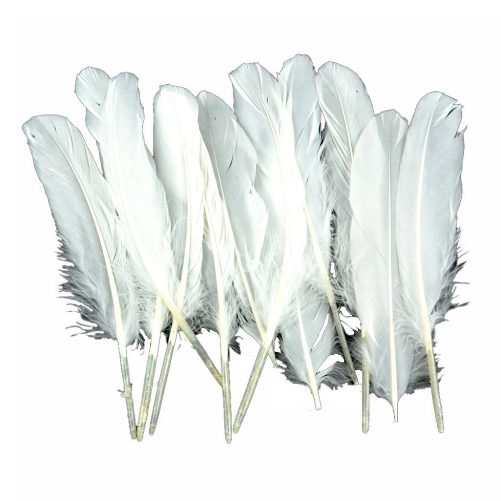 Goose Wing Rounds 7-8in White 12Pcs 