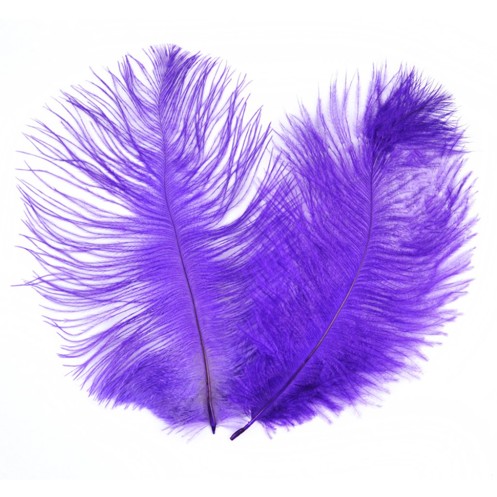 Ostrich Plume 5-8in Purple 2Pc 