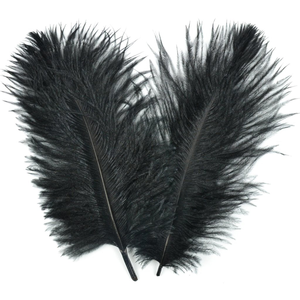 Ostrich Plume 5-8in Black 2Pc 