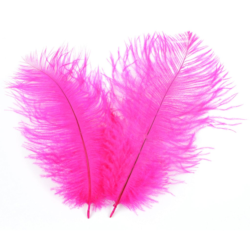 Ostrich Plume 5-8in Hot Pink 2Pc 