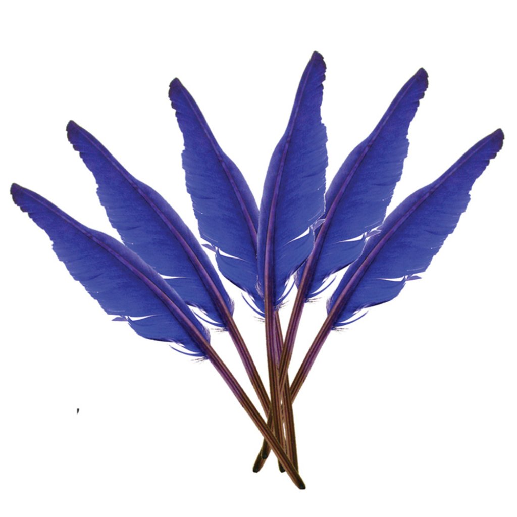 Indian Feathers 10-12in Royal Blue 6Pcs 1Pkg 