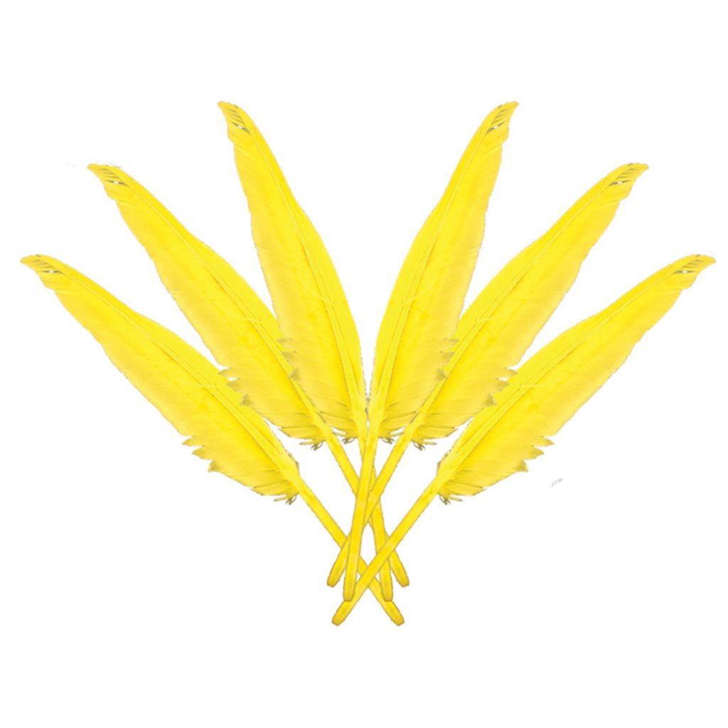 Indian Feathers 10-12in Yellow 6Pcs 1Pkg 