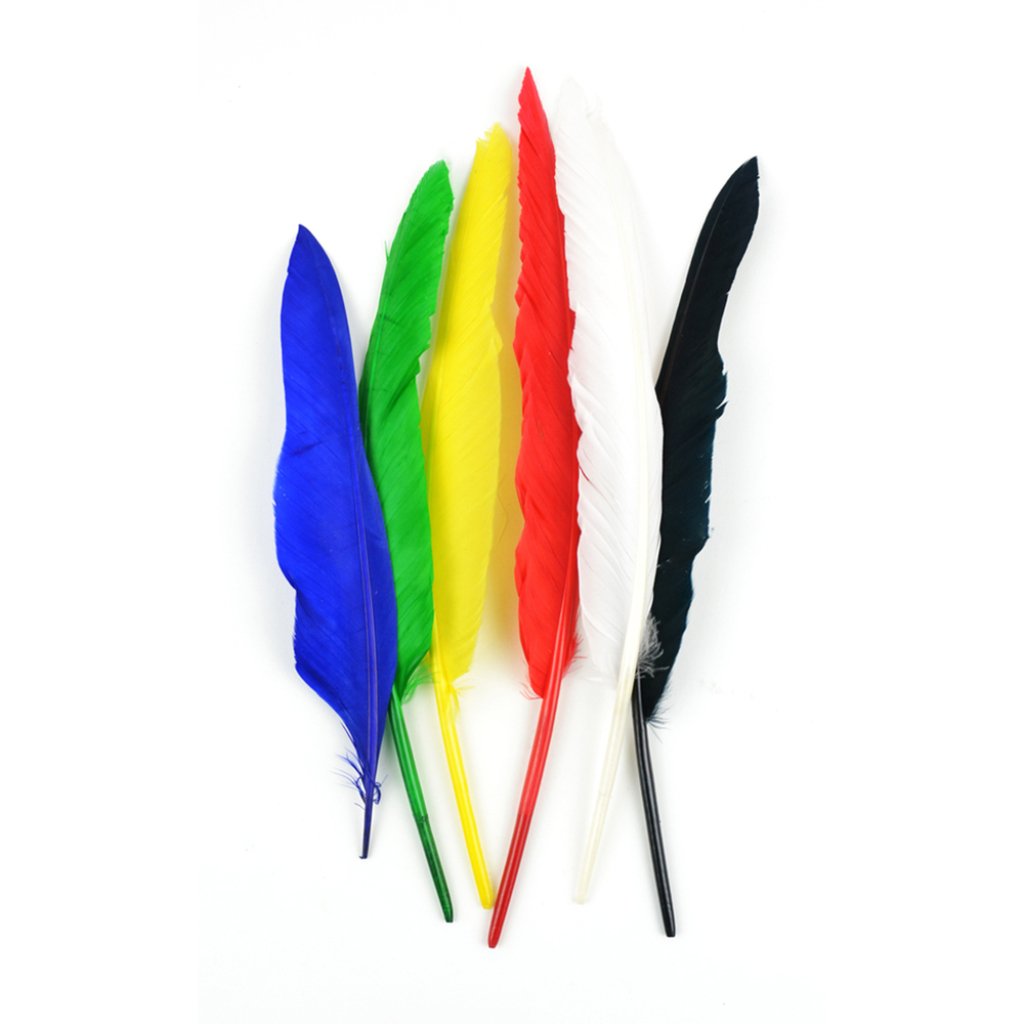 Indian Feathers 10-12in Assortment Colors 6Pcs 1Pkg 