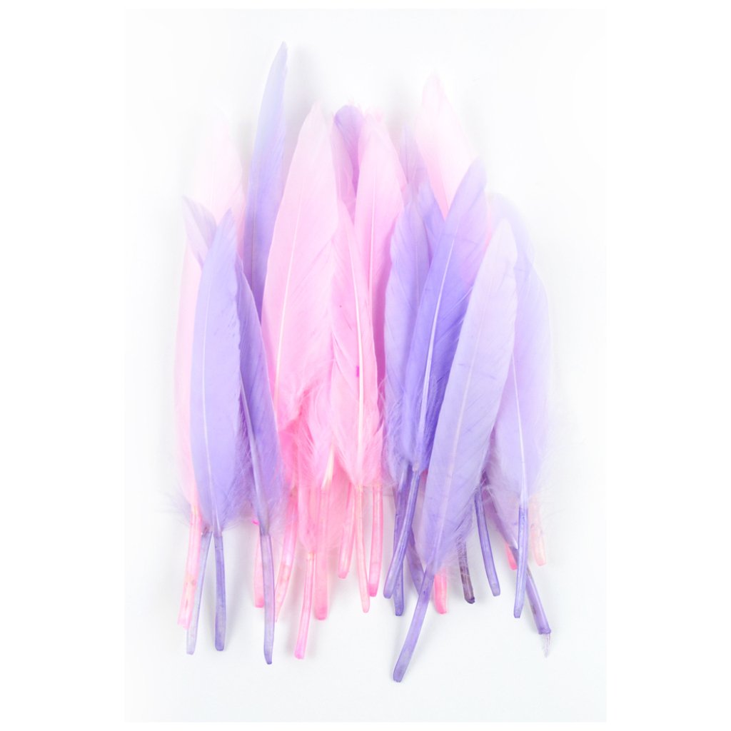 Mini Indian Feathers 3in 12 Light Pink, 12 Lavender 24P 