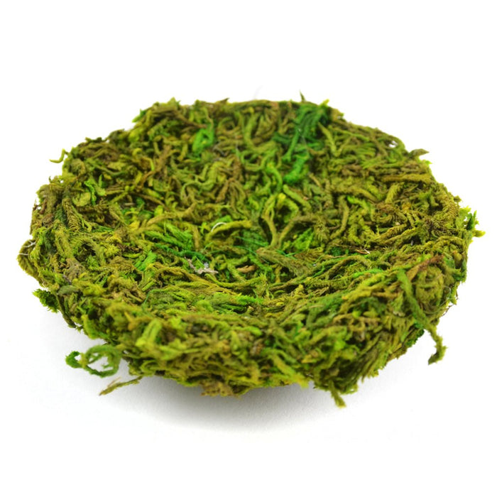 Artificial Green Moss Nest 4in 1Pc 