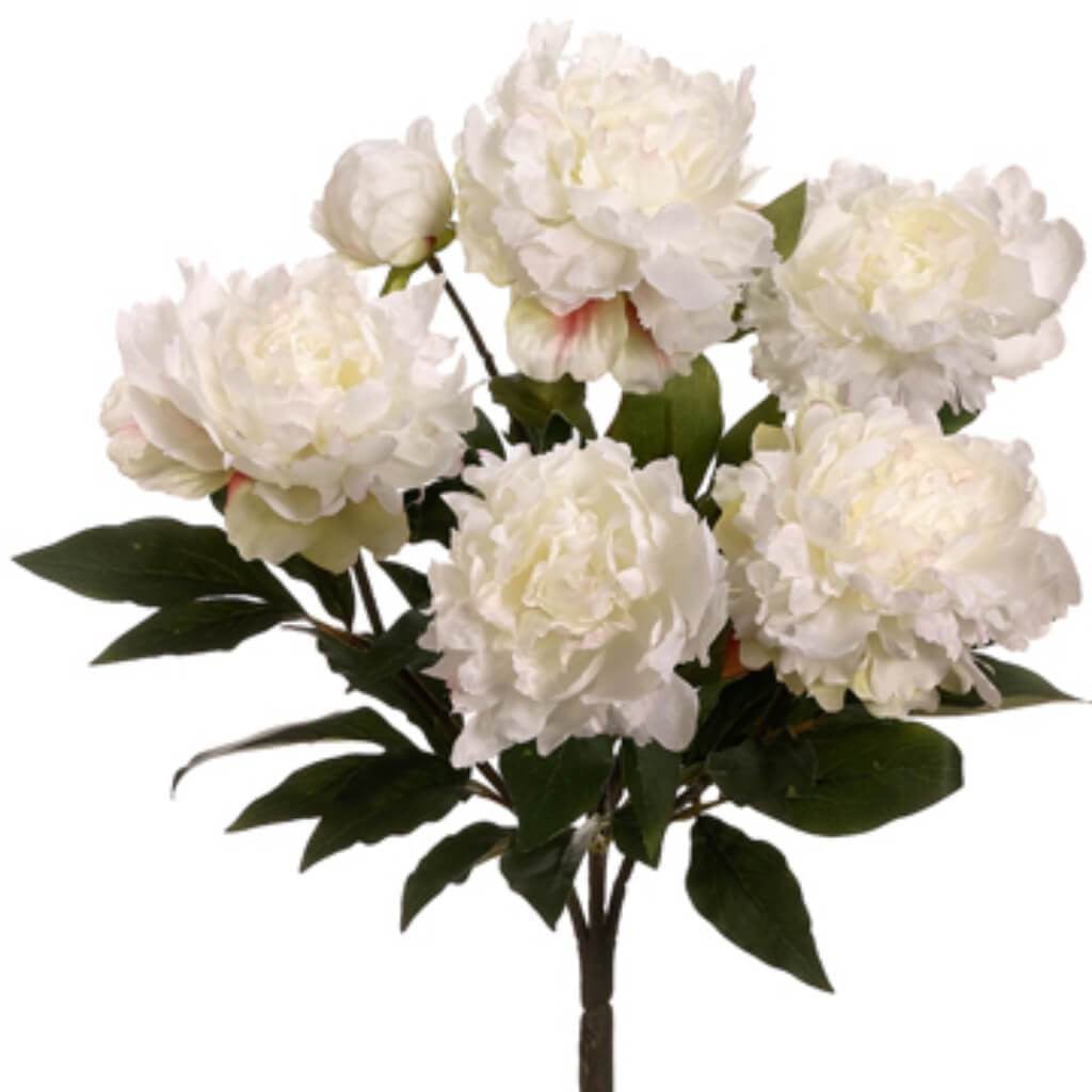 17.5"Gdn Peony Bush 5F1B Cr 