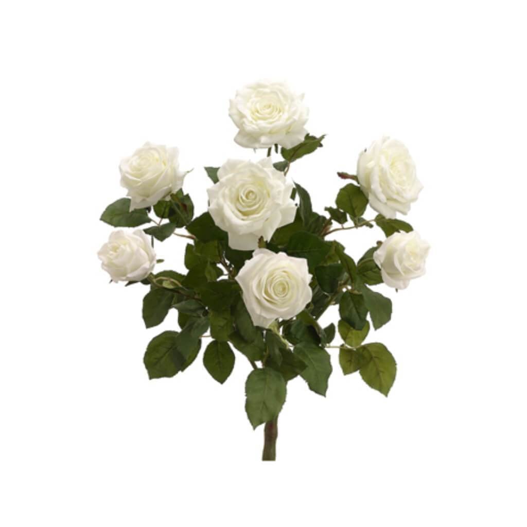 21.5"Conf.Rose Bush X7 Cr 