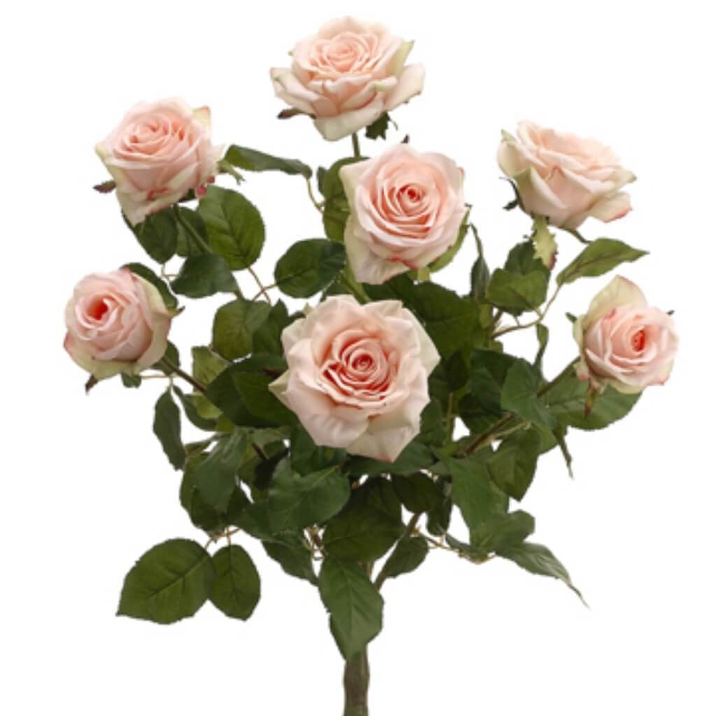 21.5"Conf.Rose Bush X7 Pe/Cr 