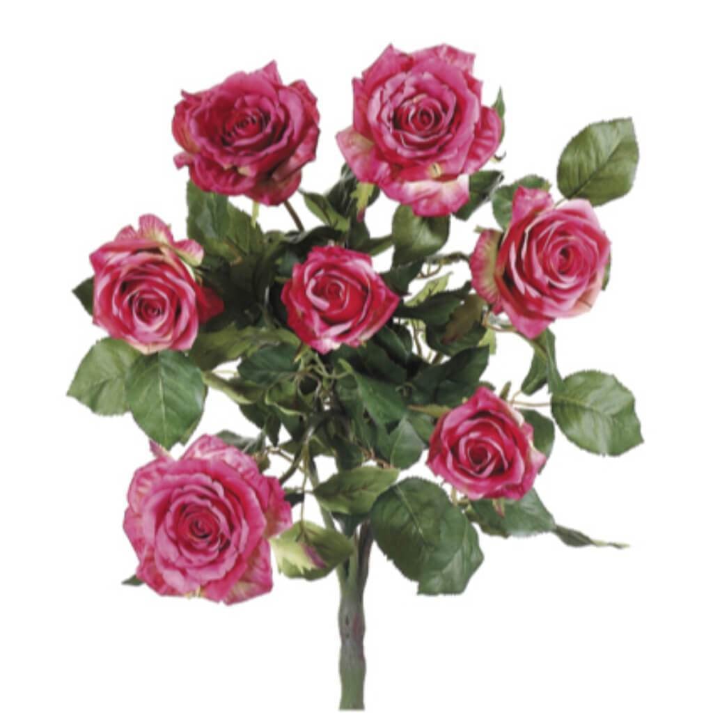 21.5&quot;Conf.Rose Bush X7 Ro/Tt 