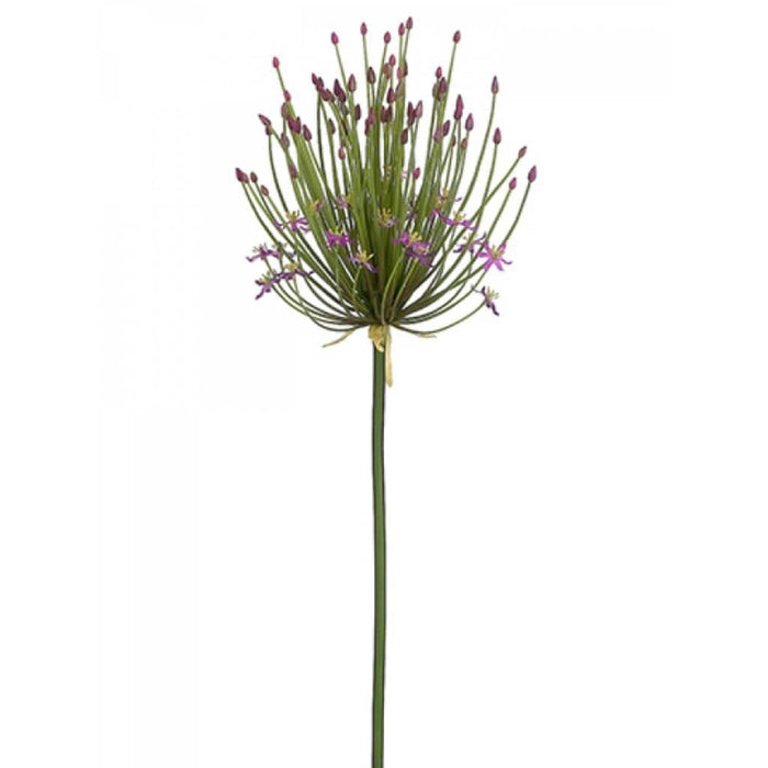 40"Spider Allium Spray Pu 