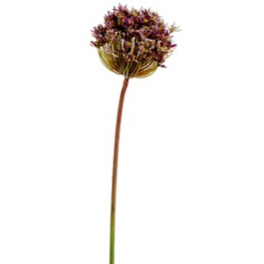 34"Allium Spray Pu/Gr 