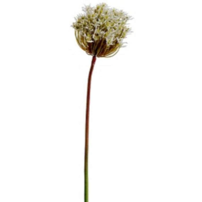 34"Allium Spray Wh 