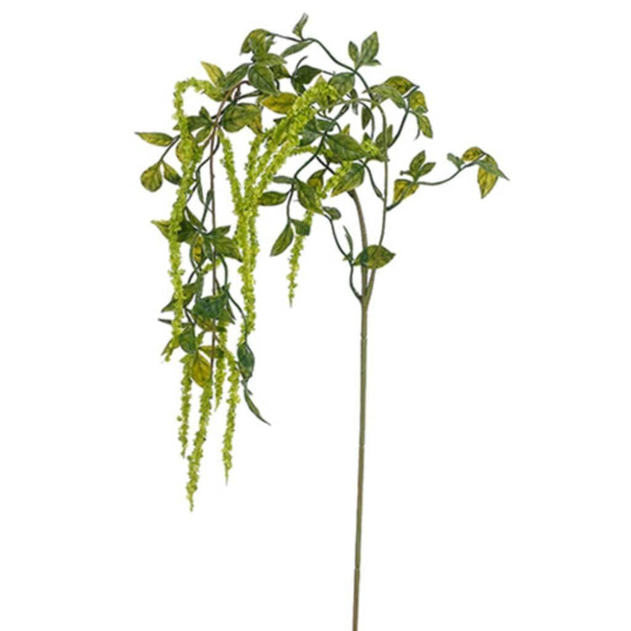 39"Hanging Amaranthus Spray Lm Lm 