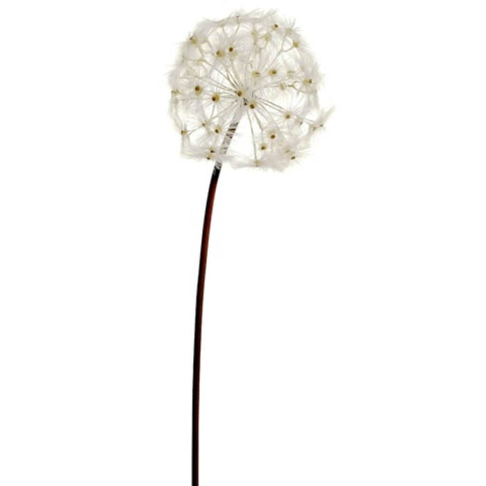 Dandelion Spray 28in, Cream