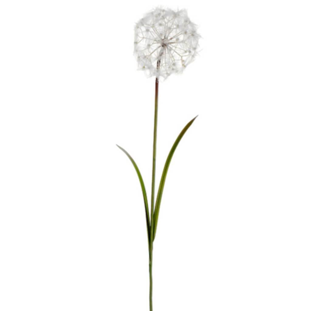 48"Dandelion Spray Cr F 