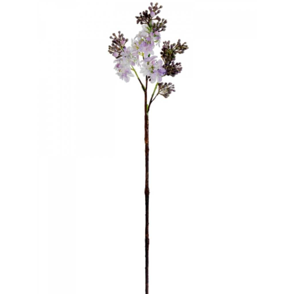 28.5"Lilac Spray Ay 