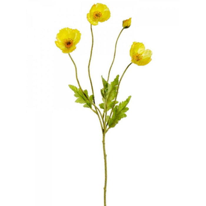 23.6"Poppy Spray Ye 