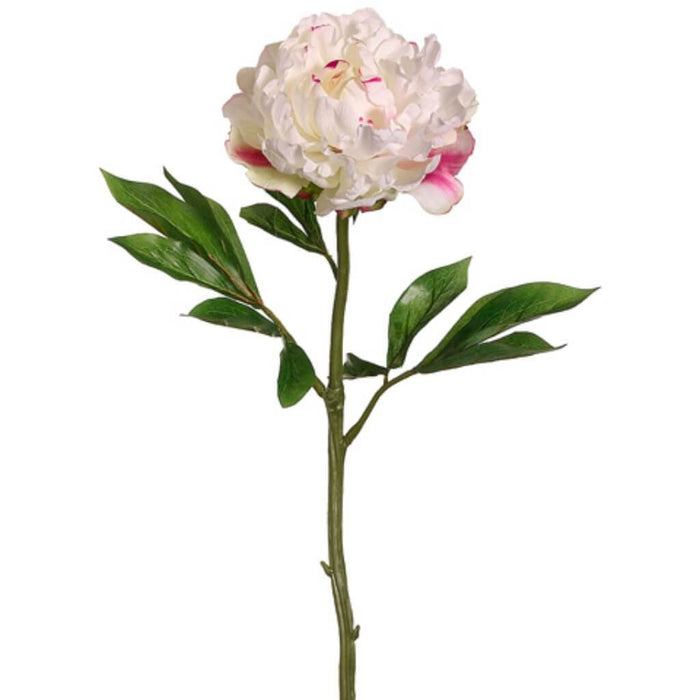 22"Lx5.5"D Peony Spray Wh/Bt 