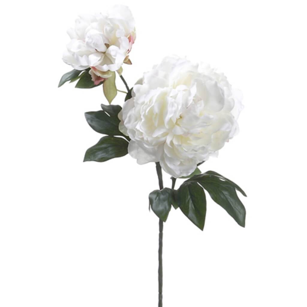 19.5"Peony Spray W/Bud Cr 