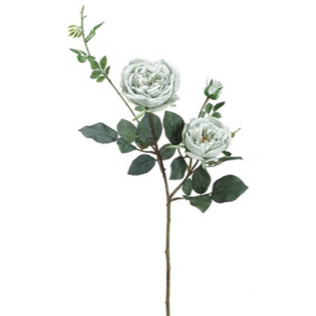 31"French Rose Spray Gy/Bl 