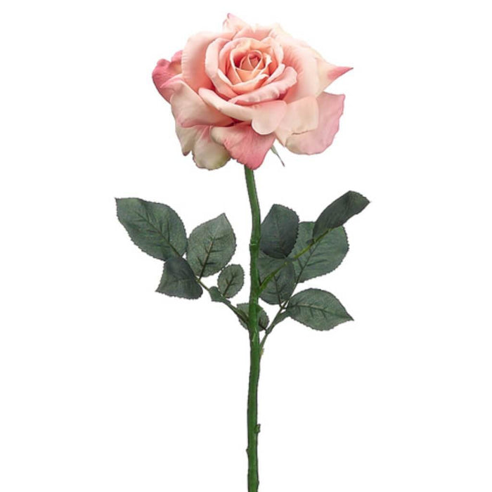 26"Diana Rose Spray Pk/Sa 