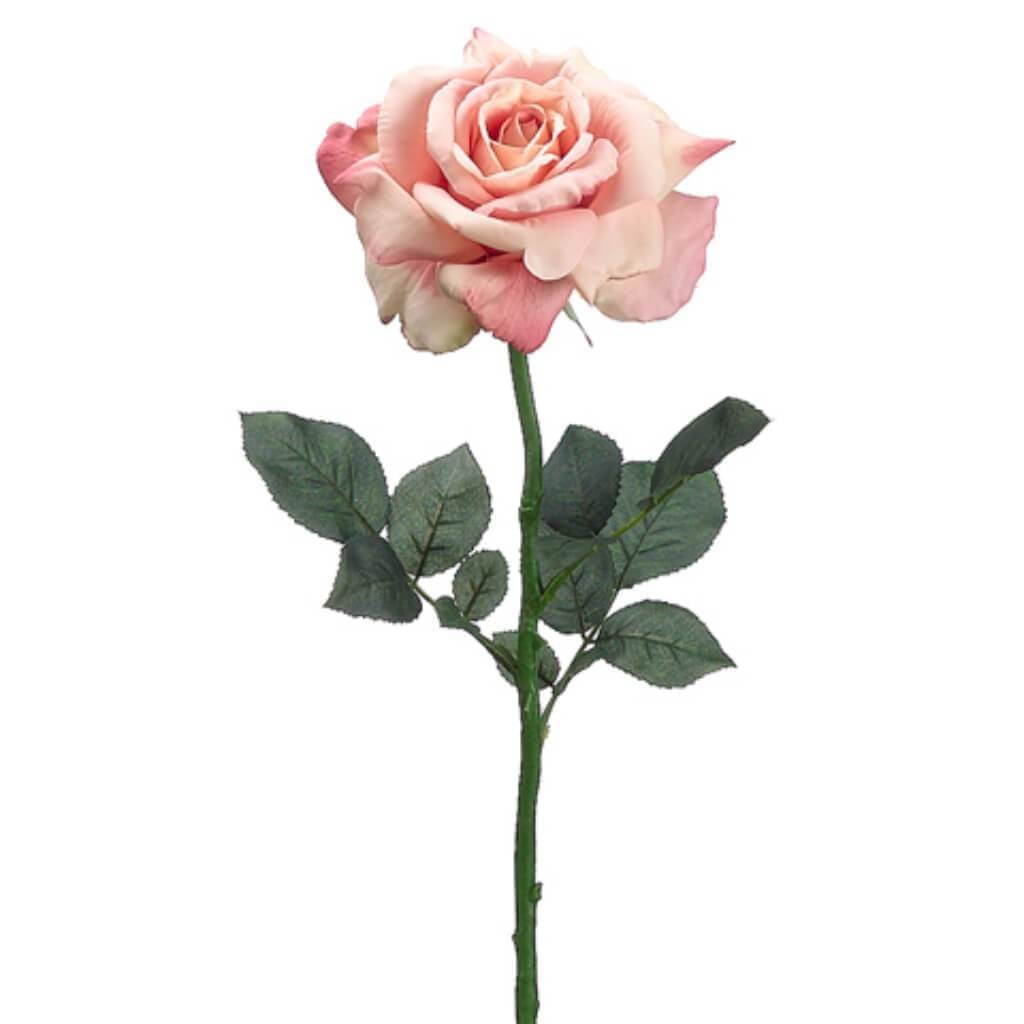 26"Diana Rose Spray Pk/Sa 