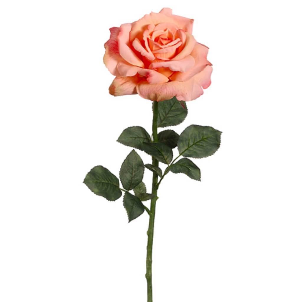 26"Diana Rose Spray Sa/Tt 