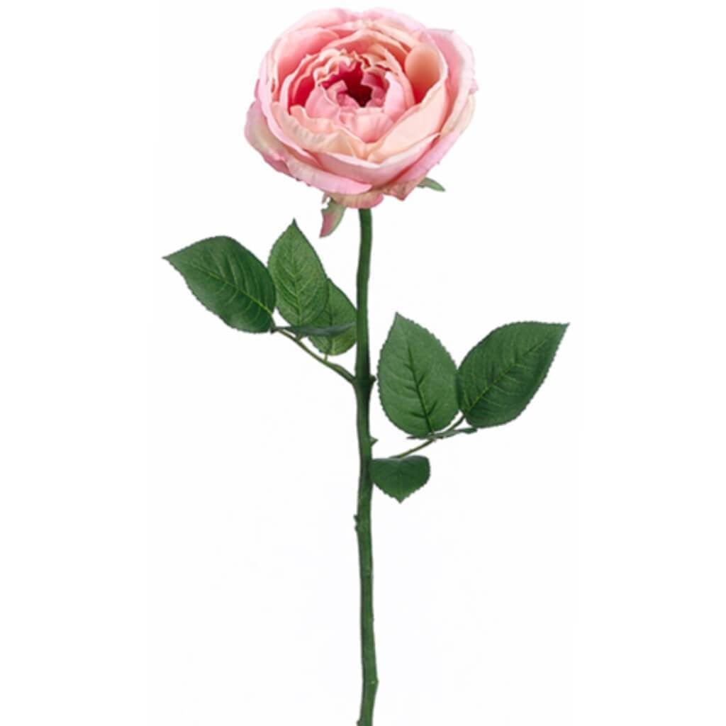 23&quot;Garden Cabb.Rose Spray Pecr 