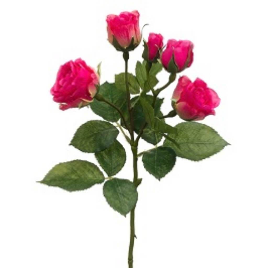 15.5"Cabbage Rose Spray Bt 