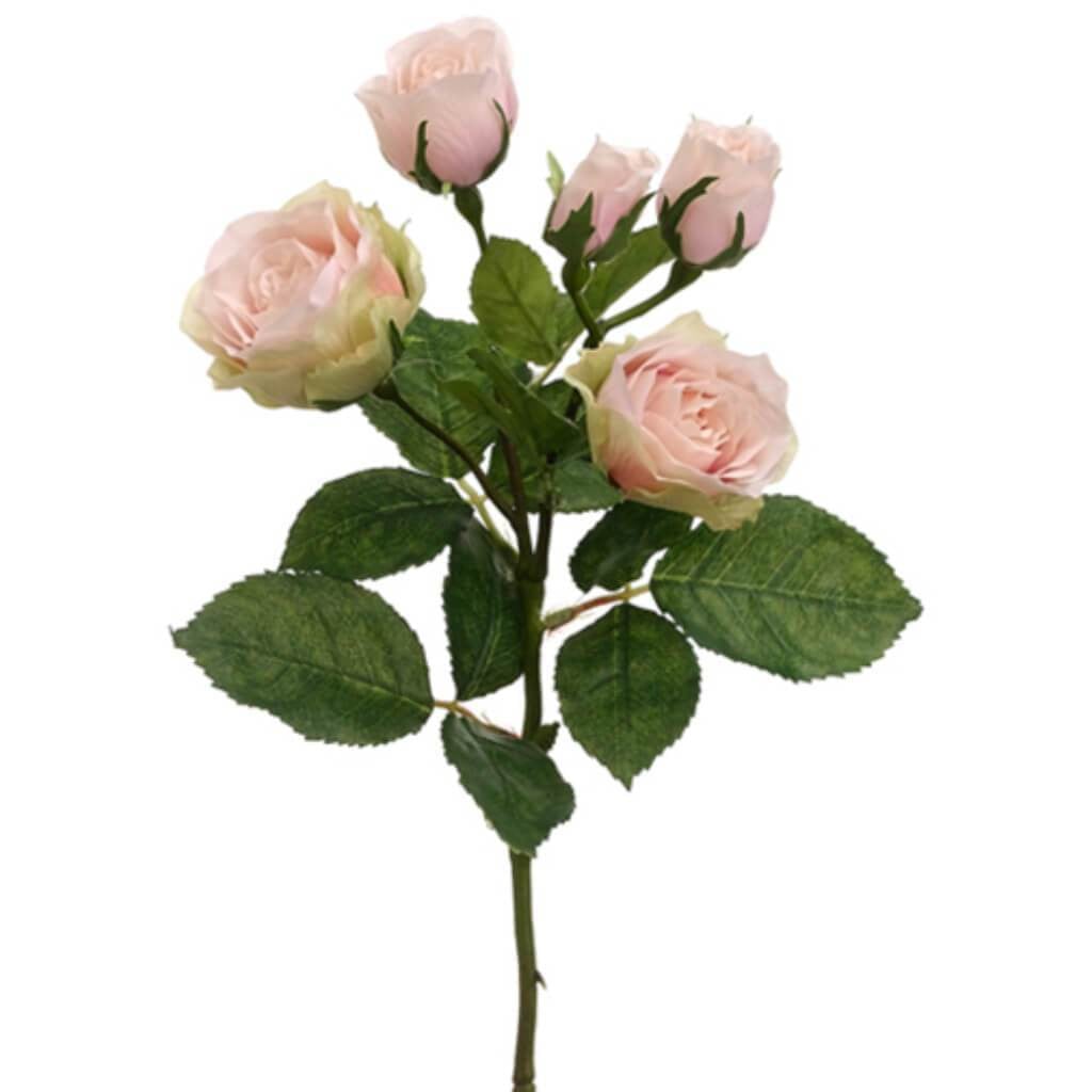 15.5"Cabbage Rose Spray Pk/Lt 