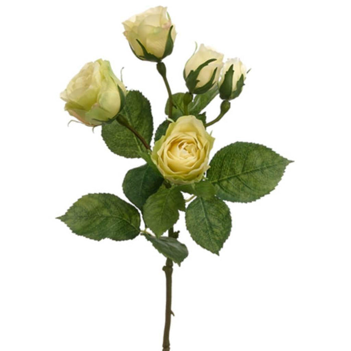 15.5"Cabbage Rose Spray Ye 