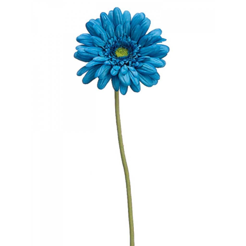 21.5"Md Gerbera Daisy Spray Tq 