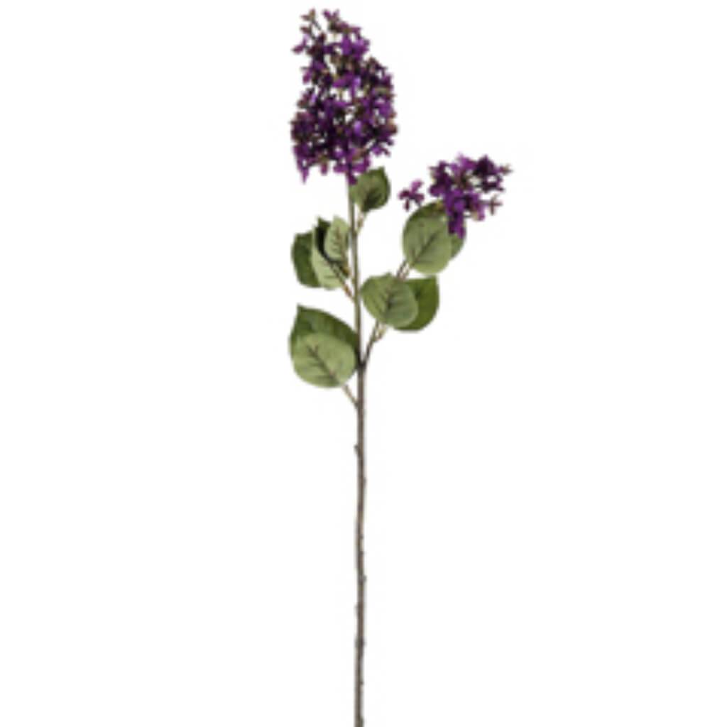 28.5"ENGLISH LILAC SPRAY PU/TT 