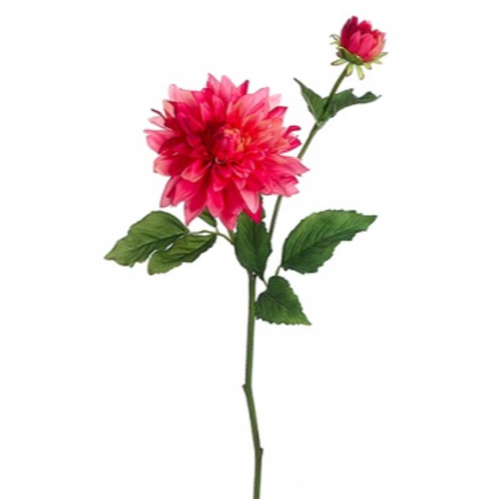 24"DAHLIA SPRAY BT 
