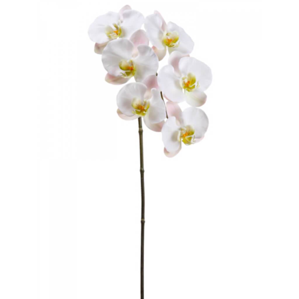 Phalaenopsis Orchid Spray 33.5&quot; White Pink 