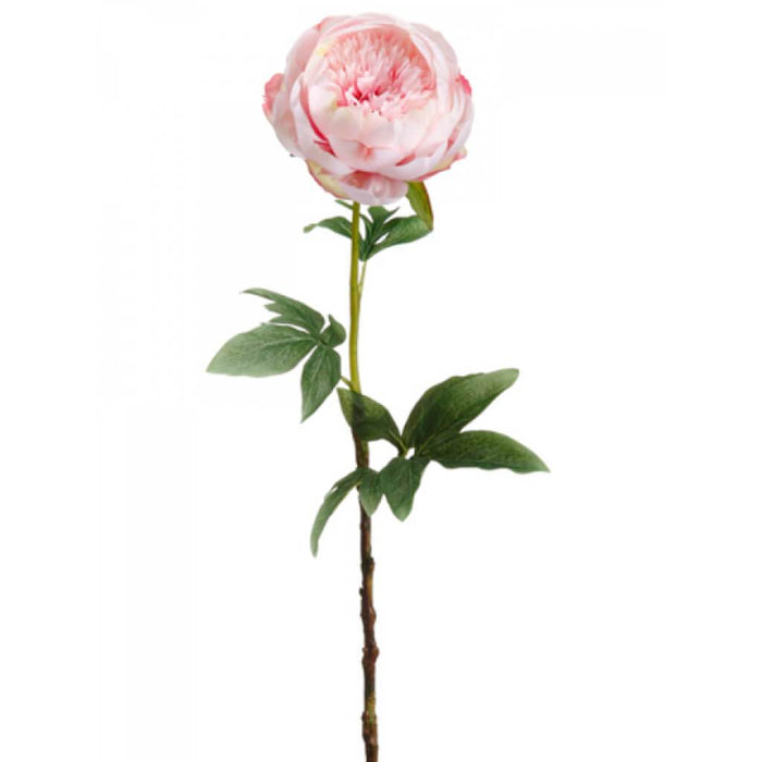Peony Spray 24in Pink 
