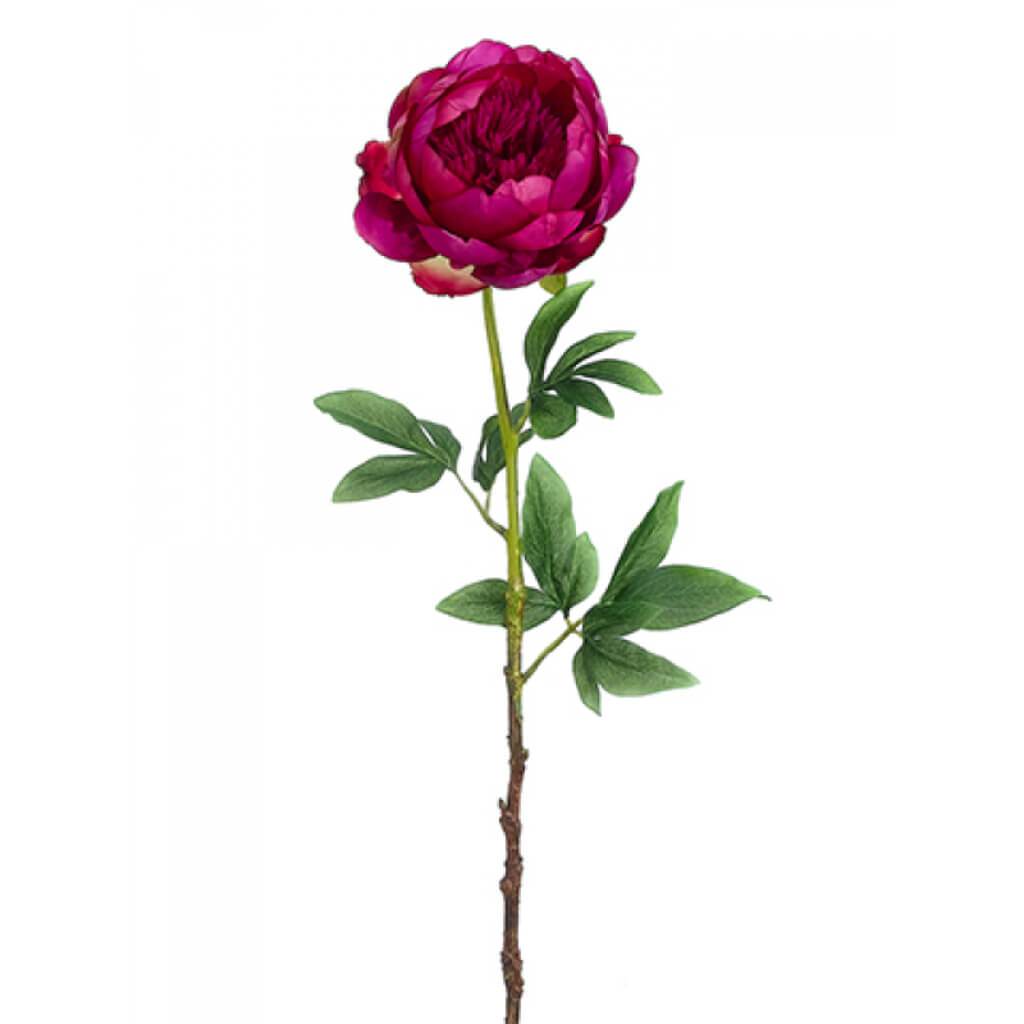 24"PEONY SPRAY RB 