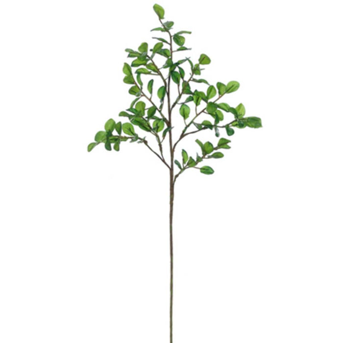 22"BUTTON LEAF SPRAY GR 