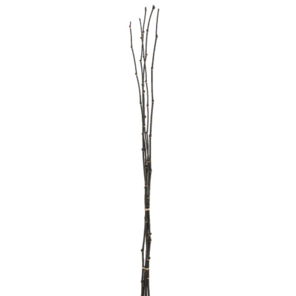 Bamboo Bundle 38in x5 Bk 