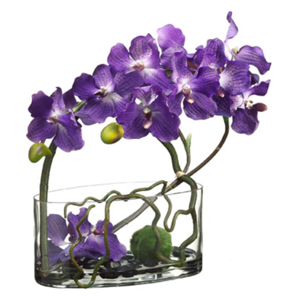 18H7W14"L VANDA/MOSS BALL(P) 