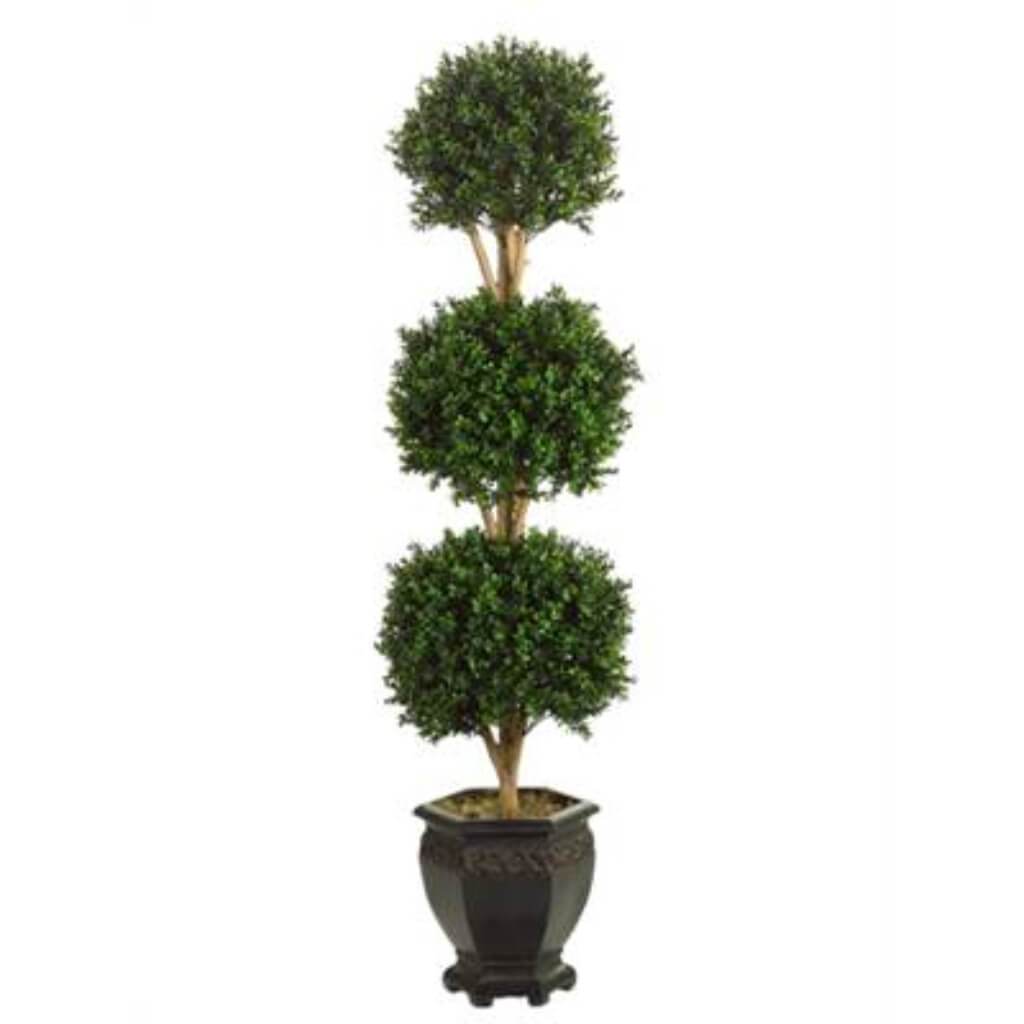 Triple Ball Boxwood 5ft Topiary in Pot Green 