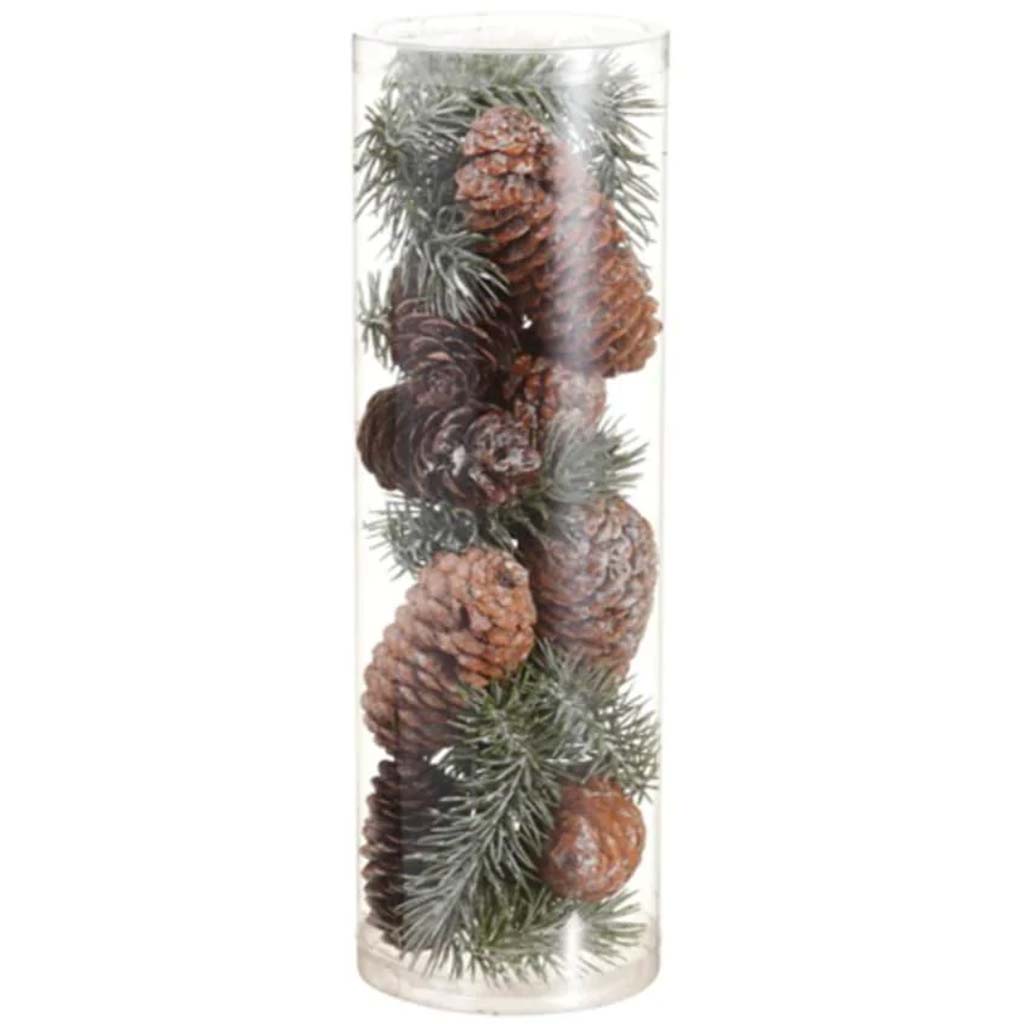 Pinecone/Pine in Box 