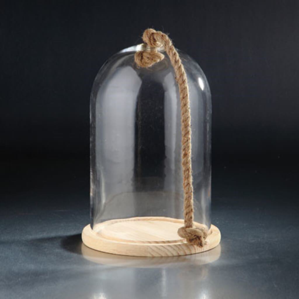 Glass Accessory H:14.5" D:8.5" Clear 