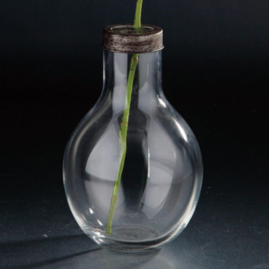 Vase H:11" D:6.5" Clear 