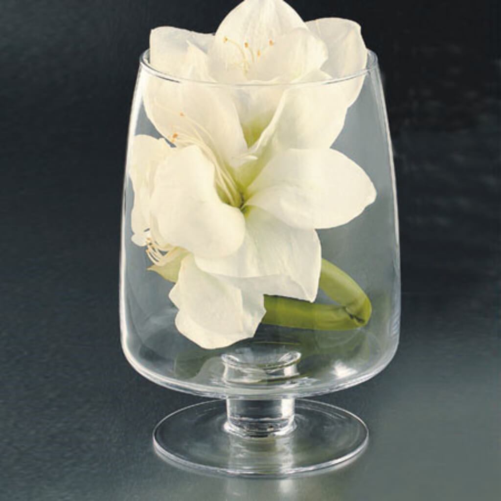 Glassware Candleholder H:10&quot;D:7&quot; Clear 