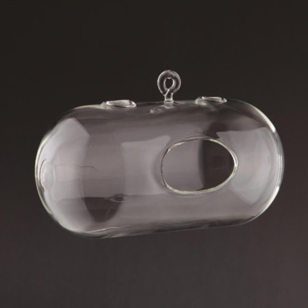 Glass Accessory L:8"W:4"H:4.5" Clear 