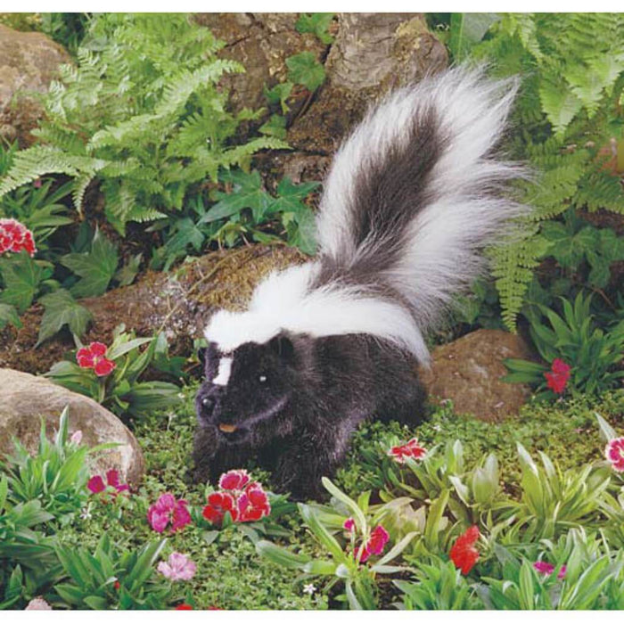 Skunk 