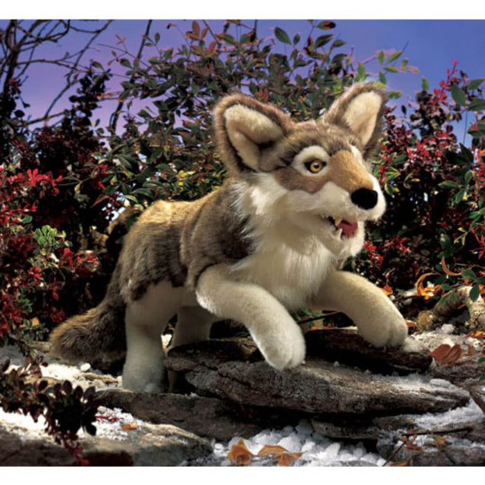 Gray Wolf 